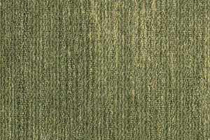 Ковровая плитка Milliken Change Agent - Europe pua 83-75-71 Live Spell фото  | FLOORDEALER